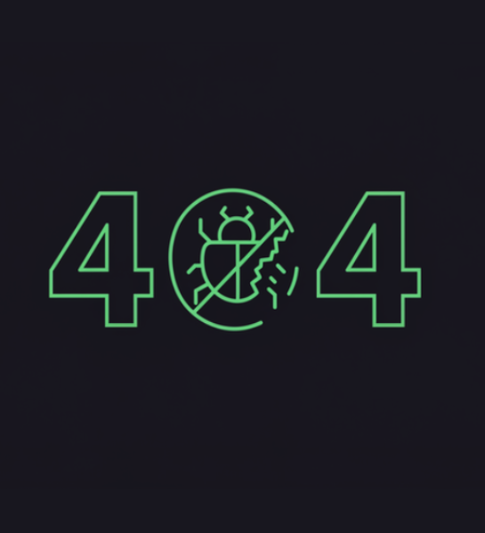 404 Bugs Not Found